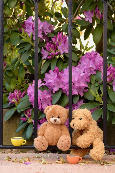 Dois Ursos Teddy Sentados Uma Cerca Metal Tendo Chá Uma — Fotografia de Stock