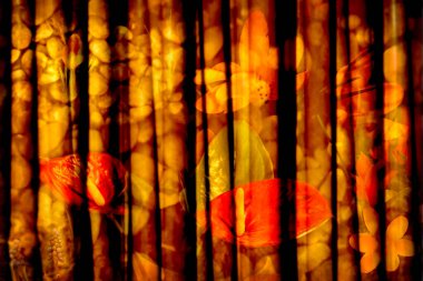 Andraeanum çiçekleri, Crocus, çakıl taşları ve bambu saplarına yansıtılan diğer bitkiler. Grunge pirinç kağıdı desenli görünüyor. Boşluğu kopyala.