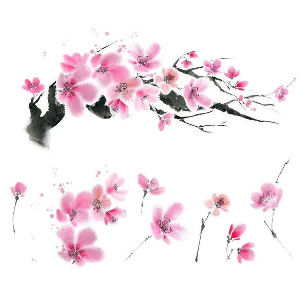 중국 작품의 일부이다. 벚나무 가지, 꽃과 잔가지. — 스톡 사진