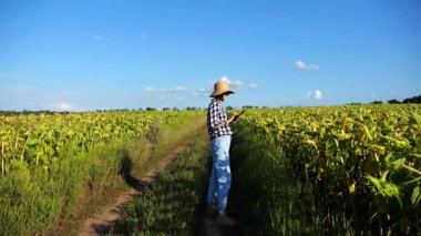 Güneşli bir günde ayçiçeği çayırında dijital tablet kullanan dişi tarım uzmanı. Yetişkin çiftçi gün batımında sarı çiçek tarlasında hasat izliyor. Güzel manzara manzarası. Tarım sektörü kavramı.