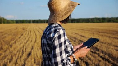 Dişi çiftçi buğday çayırlarında dolaşırken dijital tablet kullanır. Hasır şapkalı yetişkin tarım uzmanları arpa tarlalarının arasında yürürken hasat topluyor. Tarım ve tarım sektörü kavramı.