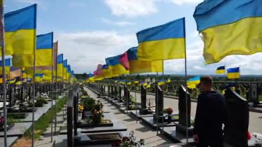 Mourning man go among countless graves of ukrainian soldiers with national flags at military cemetery in Kharkiv. Scene reflects personal sorrow and nation collective loss caused by russian aggression.