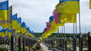 View from window of moving automobile on large military cemetery in Kharkiv with countless graves marked by Ukrainian flags. The site commemorates soldiers who died during russian invasion in Ukraine.