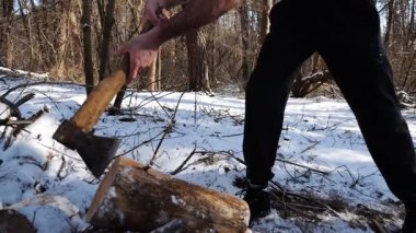 Güneşli bir kış ormanında yakacak odun kesen üstsüz genç bir adam. Karlı ormanlık alanda baltayla çalışan kaslı bir adam. Güç kavramı, erkeksi, enerji ve soğuk mevsim boyunca doğayla uyum..