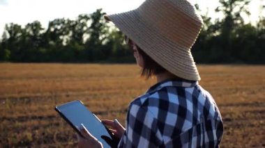 Yetişkin çiftçi güneşli bir günde buğday çayırında dijital tablet kullanıyor. Kadın tarım uzmanı arpa tarlasında hasat gözlemliyor. Güzel manzara manzarası. Tarım sektörü kavramı. Yavaş çekim