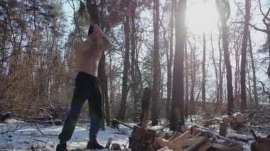 Güneşli bir kış ormanında yakacak odun kesen üstsüz, güçlü bir adam. Karlı ormanlık alanda baltayla çalışan kaslı bir adam. Güç kavramı, erkeksi, enerji ve soğuk mevsim boyunca doğayla uyum..