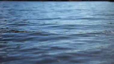 Güneşli bir günde küçük dalgalarla göl manzarasını kapat. Yaz mevsiminde göletin sakin manzarası. Güzel doğa manzarası. Huzur sahnesi kavramı. Yavaş çekim