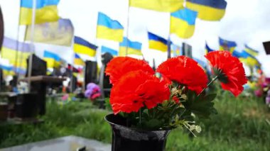 Parlak kırmızı gelincik çiçeği askeri mezarlıkta hafızanın evrensel bir işareti olarak hizmet veriyor. Bulanık arkaplanda Ukrayna bayrakları şehit düşmüş askerlerin mezarlarını işaret ediyor. Fedakarlığa ve hafızaya saygı gösteriyorlar..