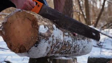Erkek el, güneşli kış ormanlarında odun kesiyor. Karlı korulukta testereyle çalışan güçlü bir adam. Güç kavramı, erkeksi, enerji ve soğuk mevsimde doğayla uyum. Yavaş çekim