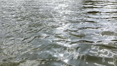 Yazın güneşle aydınlatılan göletin manzara yüzeyi. Güneşli bir günde deniz manzarası ve küçük dalgalar. Güzel yaz doğa manzarası. Huzur sahnesi kavramı. Yavaş çekim