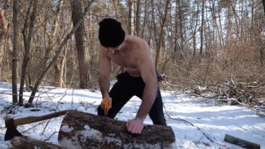 Gömleksiz bir adam güneşli kış ormanında odun kesiyor. Karlı ormanlık alanda birlikte çalışan güçlü bir adam. Sahne, soğuk koşullarda insan çabalarının ve açık hava faaliyetlerinin altını çiziyor. Yavaş çekim