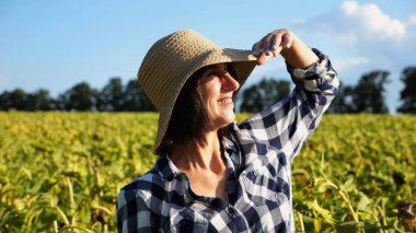 Mutlu gülümseyen dişi çiftçi ayçiçeği tarlasına bakar ve hasadın tadını çıkarır. Hasır şapkalı, sarı tarlada yetişmiş güzel tarımcı portresi. Tarım sektörü kavramı.