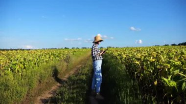 Güneşli bir günde ayçiçeği çayırında dijital tablet kullanan dişi tarım uzmanı. Yetişkin çiftçi gün batımında sarı çiçek tarlasında hasat izliyor. Güzel manzara manzarası. Tarım sektörü kavramı.