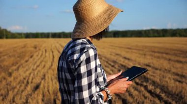 Dişi çiftçi buğday çayırlarında dolaşırken dijital tablet kullanır. Hasır şapkalı yetişkin tarım uzmanları arpa tarlalarının arasında yürürken hasat topluyor. Tarım ve tarım sektörü kavramı.