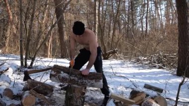 Gömleksiz bir adam güneşli kış ormanında odun kesiyor. Karlı ormanlık alanda testereyle çalışan yorgun bir adam. Sahne, soğuk koşullarda insan çabalarının ve açık hava faaliyetlerinin altını çiziyor. Yavaş çekim