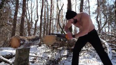 Tişörtsüz sakallı adam güneşli kış ormanlarında odun kesiyor. Karlı ormanlık alanda birlikte çalışan güçlü bir adam. Sahne, soğuk koşullarda insan çabalarının ve açık hava faaliyetlerinin altını çiziyor. Yavaş çekim