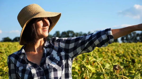 Mutlu gülümseyen dişi çiftçi ayçiçeği tarlasına bakar ve hasadın tadını çıkarır. Hasır şapkalı, sarı tarlada yetişmiş güzel tarımcı portresi. Tarım sektörü kavramı.