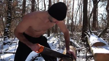 Gömleksiz bir adam güneşli kış ormanında odun kesiyor. Karlı ormanlık alanda birlikte çalışan güçlü bir adam. Sahne, soğuk koşullarda insan çabalarının ve açık hava faaliyetlerinin altını çiziyor. Yavaş çekim