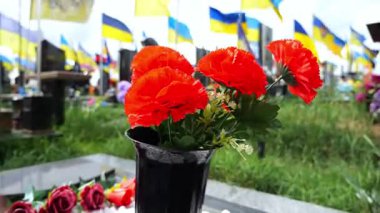 Parlak kırmızı gelincik çiçeği askeri mezarlıkta hafızanın evrensel bir işareti olarak hizmet veriyor. Bulanık arkaplanda Ukrayna bayrakları şehit düşmüş askerlerin mezarlarını işaret ediyor. Fedakarlığa ve hafızaya saygı gösteriyorlar..