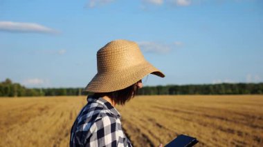 Dişi çiftçi buğday çayırlarında dolaşırken dijital tablet kullanır. Hasır şapkalı yetişkin tarım uzmanları arpa tarlalarının arasında yürürken hasat topluyor. Tarım ve tarım sektörü kavramı.