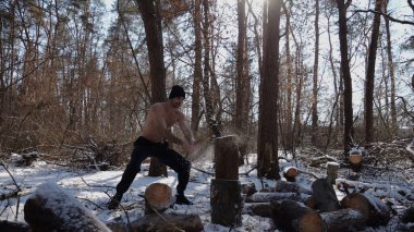 Güneşli bir kış ormanında yakacak odun kesen üstsüz genç bir adam. Karlı ormanlık alanda baltayla çalışan kaslı bir adam. Güç kavramı, erkeksi, enerji ve soğuk mevsim boyunca doğayla uyum..