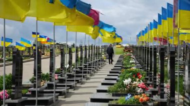 Mourning man go among countless graves of ukrainian soldiers with national flags at military cemetery in Kharkiv. Scene reflects personal sorrow and nation collective loss caused by russian aggression.