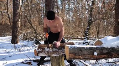 Gömleksiz bir adam güneşli kış ormanında odun kesiyor. Karlı ormanlık alanda birlikte çalışan güçlü bir adam. Sahne, soğuk koşullarda insan çabalarının ve açık hava faaliyetlerinin altını çiziyor. Yavaş çekim