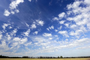 Güzel yaz manzarası güneşli bir günde mavi gökyüzünde beyaz bulutlar