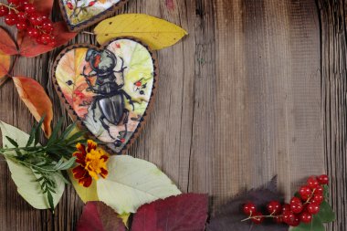 El yapımı kurabiye ve sonbahar yaprakları