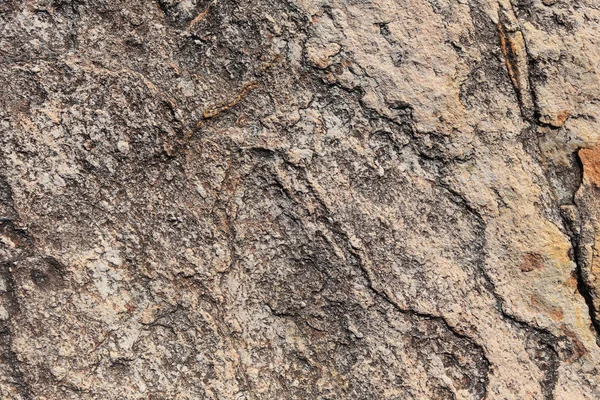 マクロ テクスチャ岩 — ストック写真