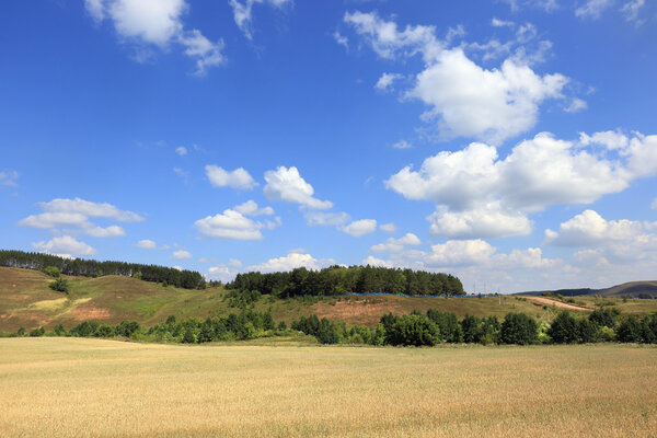  Поля красоты
