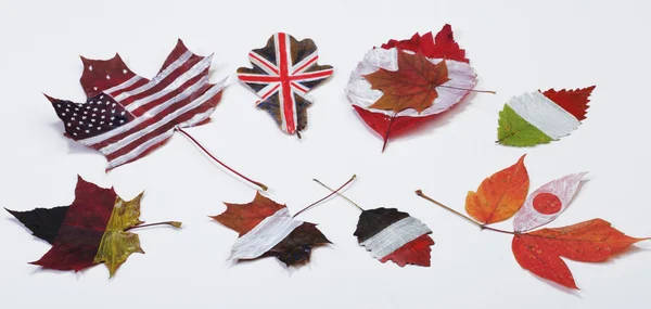 Drapeaux des pays du Groupe des Sept sur les feuilles d'automne — Photo