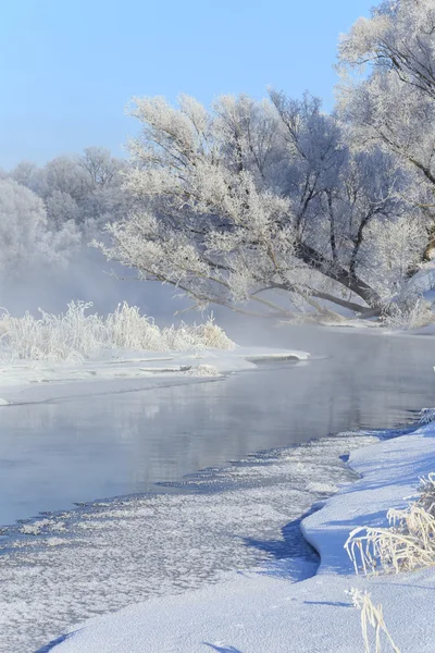 Brouillard hivernal rivière — Photo