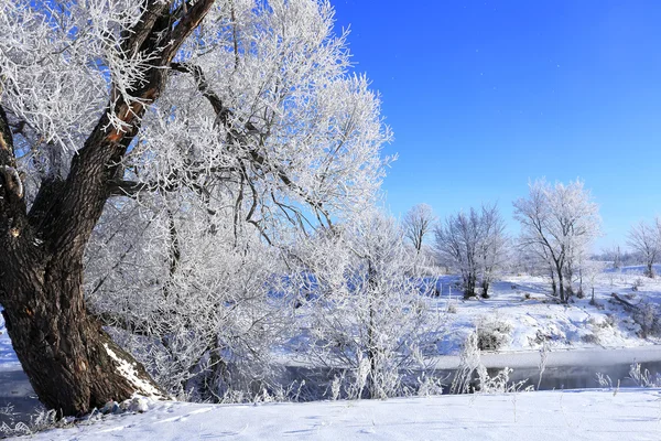 Winterlandschap in vorst — Stockfoto