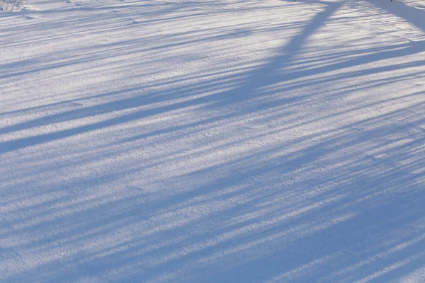 Ombres sur la neige — Photo