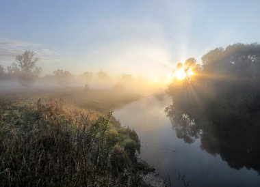 Güneş ışınları siste ağaçların arasından 