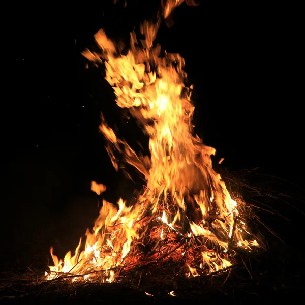 Καύση φλόγα χόρτο — Φωτογραφία Αρχείου