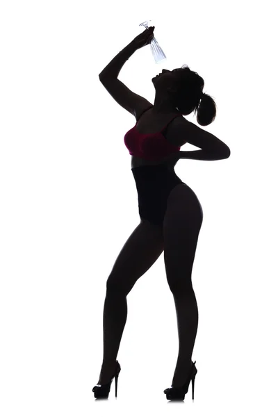 Danseuse belle silhouette  de femme  danseuse danseuse 