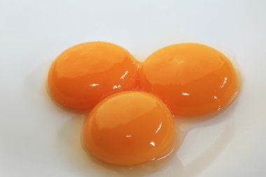 tavuk yumurta sarısı