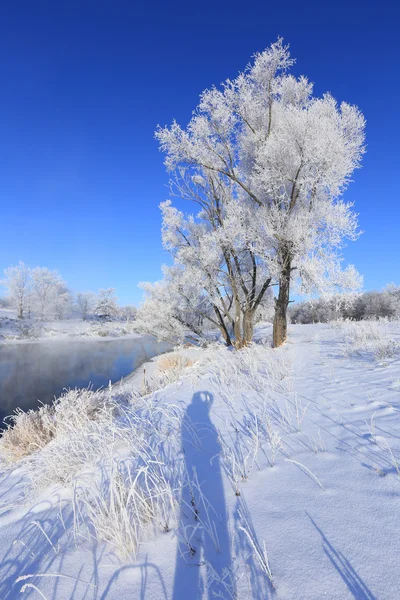 Nevoeiro sobre o rio de inverno — Fotografia de Stock