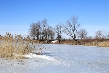 Buz Nehri üzerinde yüzen  