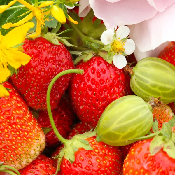 Fresas y flores — Foto de Stock