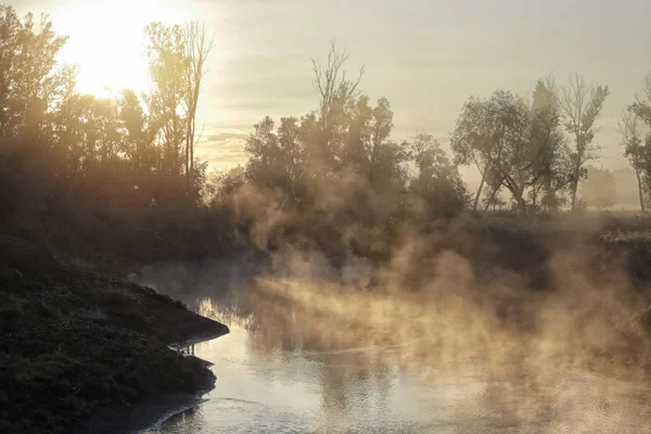 Nehrin üzerinde sis
