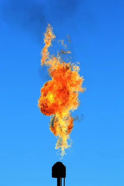 Burning torch in the blue sky — Stock Photo, Image
