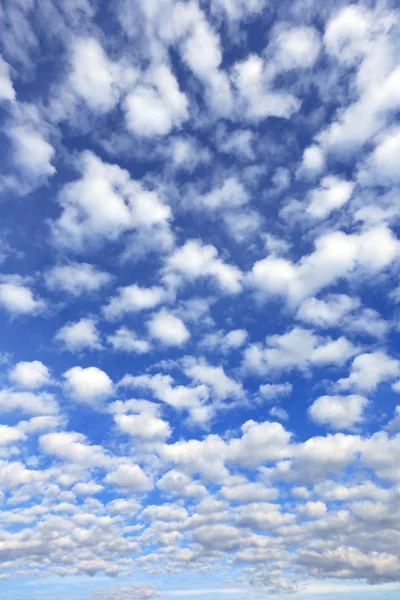 Sky clouds  on a sunny day — Stock Photo, Image