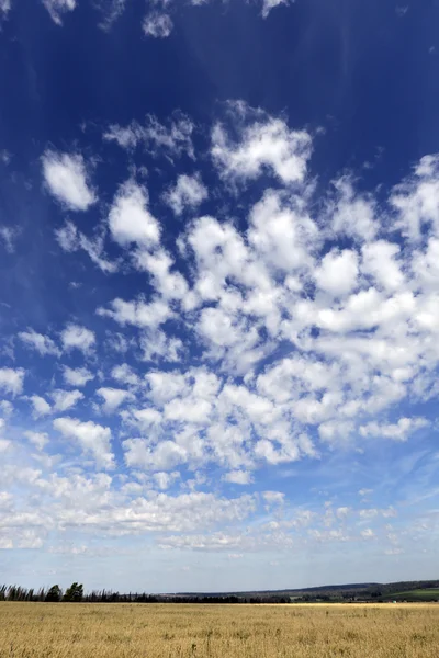 Bellissimo Paesaggio Estivo Nuvole Bianche Nel Cielo Blu Sopra Campi Foto Stock