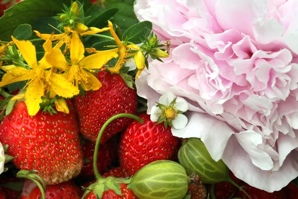 Fresas y flores — Foto de Stock