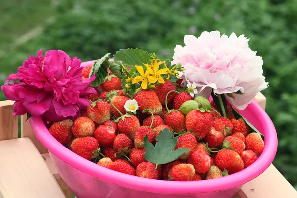 Fresas y flores — Foto de Stock