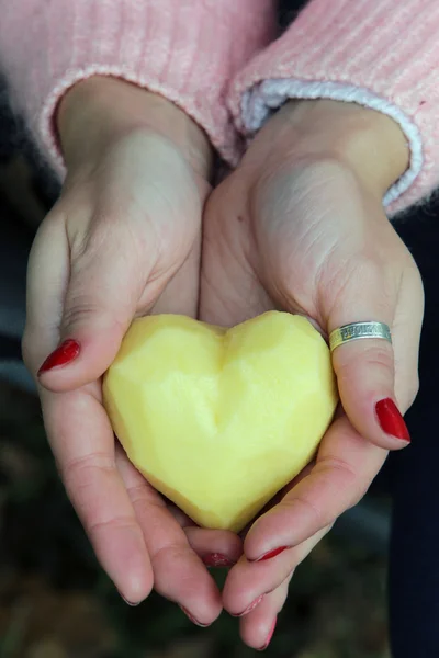 potato heart in hands