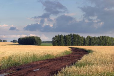 Yağmur sonra Rus yollar